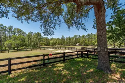 3428 N Bravo Drive, Beverly Hills, FL 34465 - Photo 66