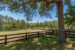 3428 N Bravo Dr, Beverly Hills, FL 34465 - Photo 66