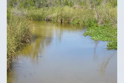 6335 SE 159th Court, Ocklawaha, FL 32179 - Photo 34