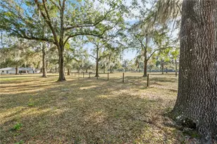 1650 NE 146 Ave, Williston, FL 32696 - Photo 38