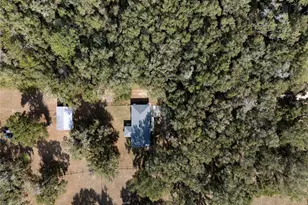 1650 NE 146 Ave, Williston, FL 32696 - Photo 28