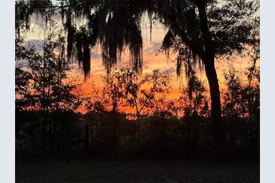 1650 NE 146th Avenue, Williston, FL 32696 - Photo 50