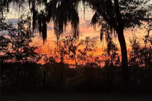 1650 NE 146 Ave, Williston, FL 32696 - Photo 50