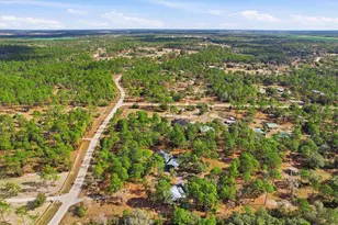 7150 SE 117th Terrace, Morriston, FL 32668 - Photo 44