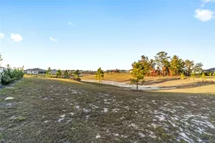 10453 SW 99th Ln, Ocala, FL 34481 - Photo 72
