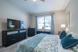 11329 Bridge Pine Dr, Riverview, FL 33569 - Photo 14