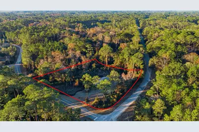 201 Plumosa Drive, Georgetown, FL 32139 - Photo 38