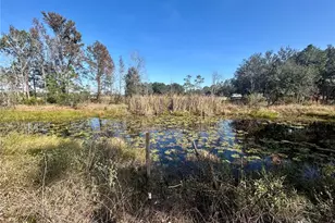12714 State Road 33, Groveland, FL 34736 - Photo 8