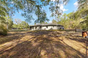 240 W Nova Pl, Citrus Springs, FL 34434 - Photo 40