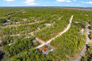 240 W Nova Pl, Citrus Springs, FL 34434 - Photo 54