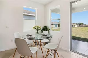 8205 Ives Pl, Wildwood, FL 34785 - Photo 4