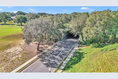 5441 Grove Manor, Lady Lake, FL 32159 - Photo 38