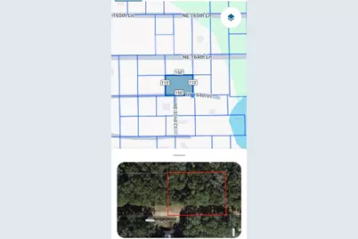 Tbd NE 164th Place, Citra, FL 32113 - Photo 6