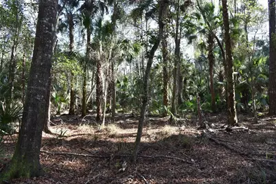 150 Caravelle Farms Road, Palatka, FL 32177 - Photo 34