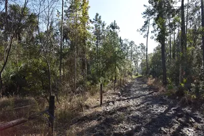 150 Caravelle Farms Road, Palatka, FL 32177 - Photo 14