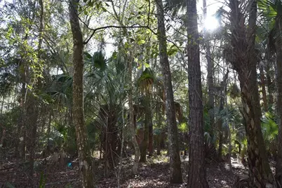 150 Caravelle Farms Road, Palatka, FL 32177 - Photo 32