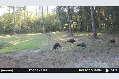 150 Caravelle Farms Road, Palatka, FL 32177 - Photo 12