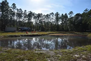 150 Caravelle Farms Rd, Palatka, FL 32177 - Photo 1