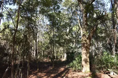 150 Caravelle Farms Road, Palatka, FL 32177 - Photo 28