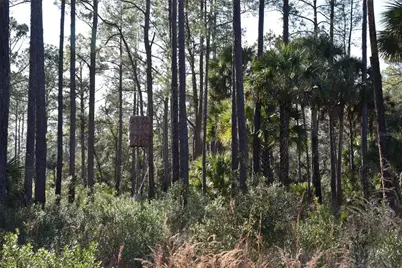 150 Caravelle Farms Road, Palatka, FL 32177 - Photo 26