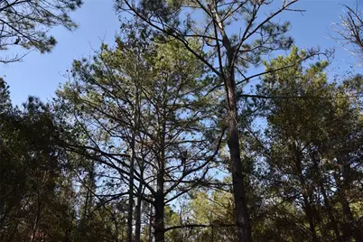 150 Caravelle Farms Road, Palatka, FL 32177 - Photo 36