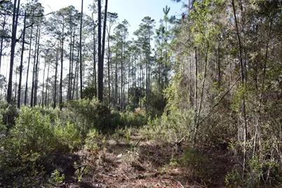 150 Caravelle Farms Road, Palatka, FL 32177 - Photo 44