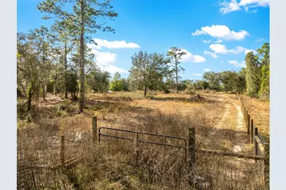 7270 NE 136th Ave, Williston, FL 32696 - Photo 2