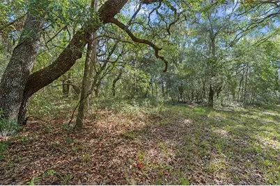 4290 W Norvell Bryant Highway, Crystal River, FL 34429 - Photo 4