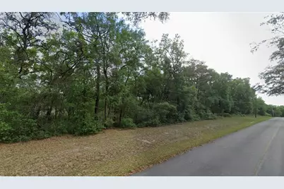 Tbd SE 59th Street, Ocklawaha, FL 32179 - Photo 2