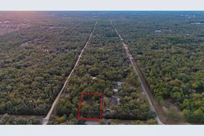 Tbd NE 105th Avenue, Bronson, FL 32621 - Photo 6