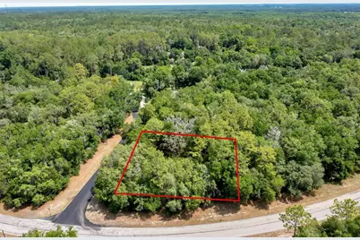 10233 N Athenia Drive, Citrus Springs, FL 34434 - Photo 8