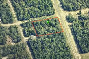 1286 W Evergreen Dr, Citrus Springs, FL 34434 - Photo 1