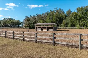 9032 NW 30th Ave, Ocala, FL 34475 - Photo 52