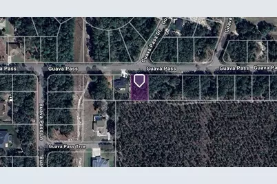 Tbd Guava Pass, Ocklawaha, FL 32179 - Photo 1