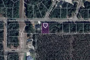 Tbd Guava Pass, Ocklawaha, FL 32179 - Photo 1
