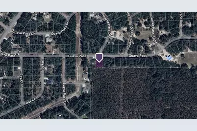 Tbd Guava Pass, Ocklawaha, FL 32179 - Photo 2