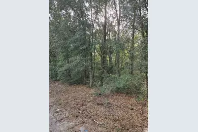 Ne 163rd Place, Citra, FL 32113 - Photo 2