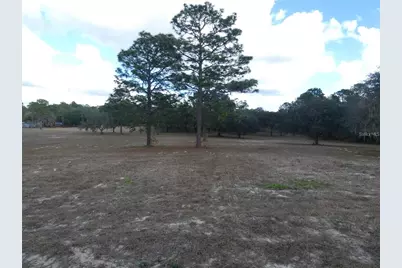 10887 N Circle M Avenue, Dunnellon, FL 34433 - Photo 2