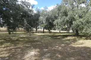 10887 N Circle M Ave, Dunnellon, FL 34433 - Photo 1