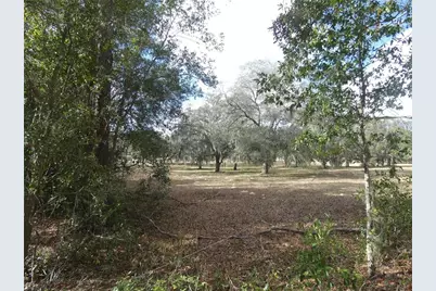 10887 N Circle M Avenue, Dunnellon, FL 34433 - Photo 4