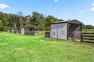 950 NE 200th Ave, Williston, FL 32696 - Photo 22