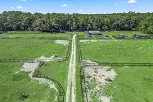 950 NE 200th Ave, Williston, FL 32696 - Photo 4