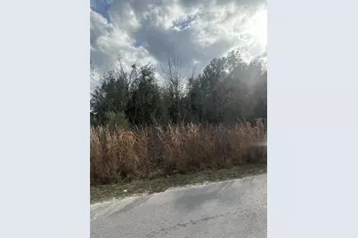 0000 NW 6th Place, Ocala, FL 34482 - Photo 4