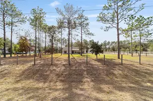 6655 SW 135th Terrace Rd, Ocala, FL 34481 - Photo 46