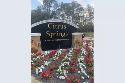 9540 N Pineview Way, Citrus Springs, FL 34434 - Photo 4