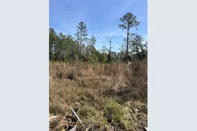 137th Place NE, Citra, FL 32113 - Photo 4