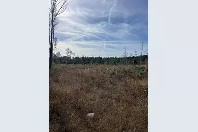 137th Place NE, Citra, FL 32113 - Photo 1