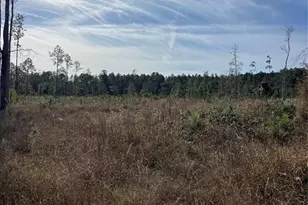 137th Pl NE, Citra, FL 32113 - Photo 1