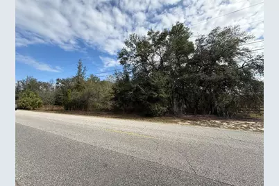 Se 92nd Court, Belleview, FL 34420 - Photo 2