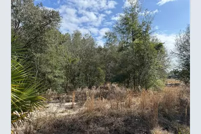 Se 92nd Court, Belleview, FL 34420 - Photo 12